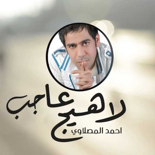 كلمات اغنية أحمد المصلاوي – لا هيج عاجب مكتوبة