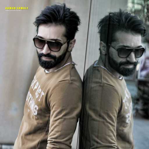 كلمات اغنية علاء الأمين – ضلك معي مكتوبة