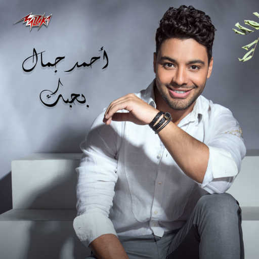 كلمات اغنية احمد جمال – بحبك مكتوبة